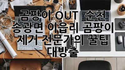 곰팡이 OUT! ✨ 순천 송광면 이읍리 곰팡이 제거 전문가의 꿀팁 대방출! 🏡