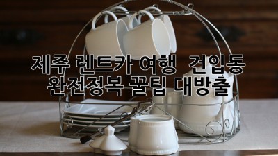 제주 렌트카 여행 🚗💨 건입동 완전정복! 꿀팁 대방출 ✨
